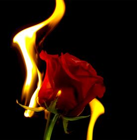 الحب والكراهية