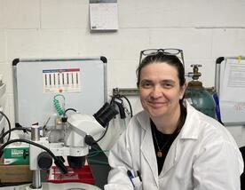 البروفيسورة كاترينا